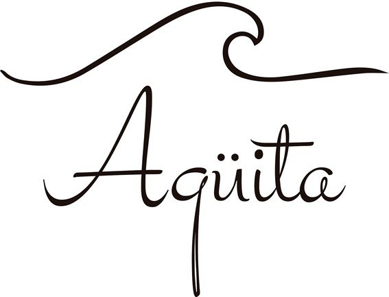 logo aguita